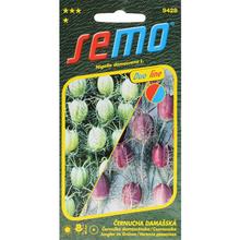 Semená černušky damascénskej Duo Mix 0,4g.