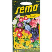 Zmes popínavých letničiek 3g od SEMO