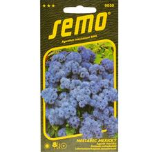 Semená Agerát mexický Tetra Blue Mink 0,2g
