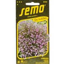 Semená lobelky svetlofialovej v balení 0,25g.