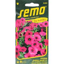 Semená petúnie typu Surfinia Purple Velvet.