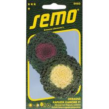 Semená okrasného kelu Kamome F1 mix.