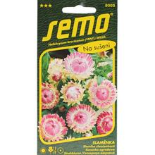 Semená slamienky ružovej od SEMO.