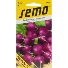 Semená reďkovky PURPURA F1 od SEMO.