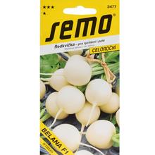 Semená reďkovky BELANA F1 od SEMO.