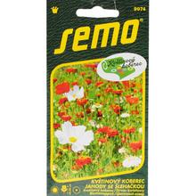 Semená kvetinového koberca jahody so šľahačkou 6g.