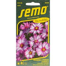 Semená kvetov Krasuľka Capriola od SEMO.