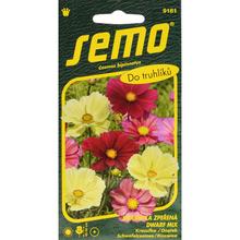 Semená krasuľky Dwarf Mix od SEMO.