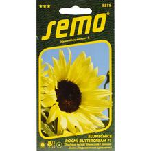 Semená slnečnice ročnej Butter Cream F1 2g