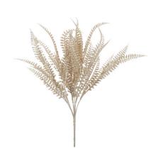 Zelená papraď šampáň 42 cm