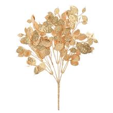 Zlatá lunária s listami, 37 cm