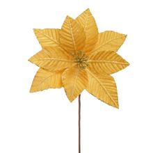 Zlatá vianočná ruža zamatová s dĺžkou 37 cm.