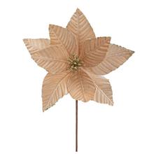 Vianočná ruža v šampanskom zamatovom prevedení.