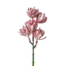 Umelý zápich sukulent v béžovej farbe s výškou 18 cm.