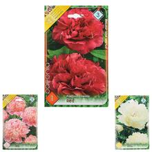 Zmes pivoniek v balení.