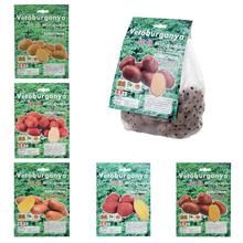 Sadbové zemiaky - Mix 50ks v priehľadnom obale.