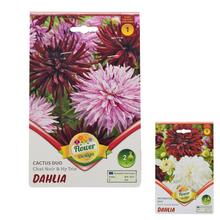 Cibuľka DAHLIA DUO MIX s ružovými kvetmi.