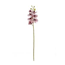 Umelá orchidea v bordovo-bielej farbe, 73 cm.