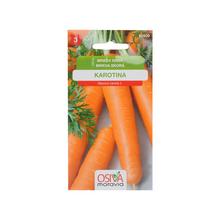 Semená mrkvy skorá karotina 2g