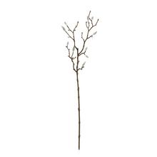 Konár bahniatka 64 cm