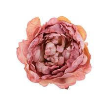 Hlava pivonky staroružová 10cm, balenie 12ks.