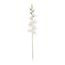 Biela umelá gladiola s dĺžkou 75 cm.