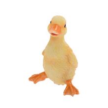 Žlté sediace kačička z poly