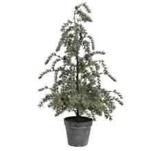 Vianočný stromček céder so šiškami v kvetináči.