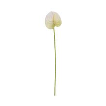 Umelé kvety antúrie mix v troch farbách.