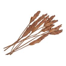 Sušené aranžérske materiály Escamadinho S/10 pacz