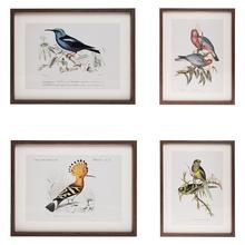 Obraz s motívom vtákov v ráme.