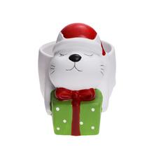 Obal mačka s darčekom, keramický kvetináč.