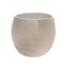 Obal Porto krémový s textúrou.