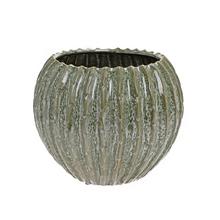 Zelený kvetináč sľuda Jovi