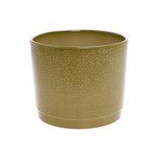 Zelený obal Maxim s textúrou.