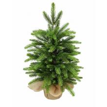 Vianočný stromček zaťažený, smrek pravidelný v jute, 45 cm.