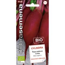 Semená cvikly podlhovastej cylindrickej formy BIO.