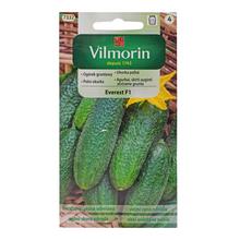 Semená uhorky Everest F1 3g