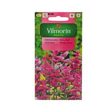 Semená šalvie zelenej 0,5g