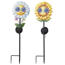 Solárna slnečnica so slnečnými okuliarmi