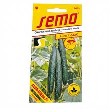 Semená uhorky Andromeda F1 v balení 10 kusov.