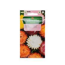 Semená letničiek SLAMIHA ZMES 2g