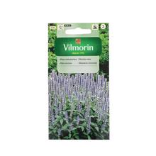 Semená mäty mexickej 0.1g