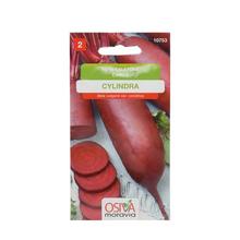 Semená cvikly Cylindra 4g