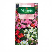 Semená begónie v balení 0,02g.