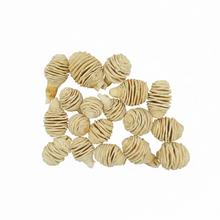 Sušený materiál Platyspermum bielené 250g