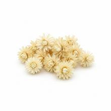 Sušený aranžérsky materiál Plumosum bielené 250g