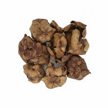 Sušené palmové čiapky, 12 kusov, veľkosť 9-12 cm.