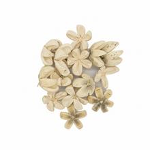 Sušené kvety v bielej farbe, 12 kusov.