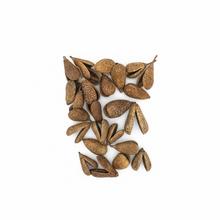 Sušené ovocie Benzo 24ks